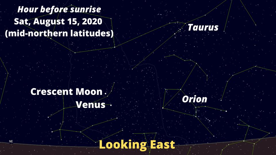 Look east before sunrise on Saturday, August 15, 2020 to see a conjunction of a crescent Moon and Venus—and Orion to the right. 