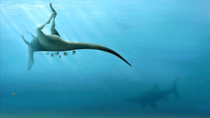 New Carnivorous Dinosaur Unearthed on Isle of Wight | Paleontology