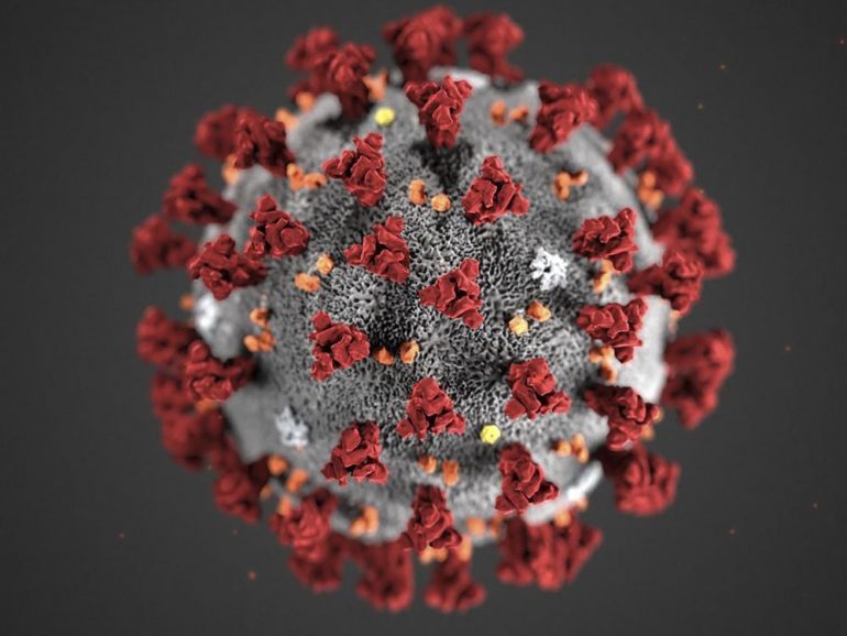 TOPSHOT - This handout illustration image obtained February 3, 2020, courtesy of the Centers for Disease Control and Prevention, and created at the Centers for Disease Control and Prevention (CDC), reveals ultrastructural morphology exhibited by coronaviruses. - Note the spikes that adorn the outer surface of the virus, which impart the look of a corona surrounding the virion, when viewed electron microscopically. A novel coronavirus virus was identified as the cause of an outbreak of respiratory illness first detected in Wuhan, China in 2019. (Photo by Alissa ECKERT / Centers for Disease Control and Prevention / AFP) / RESTRICTED TO EDITORIAL USE - MANDATORY CREDIT