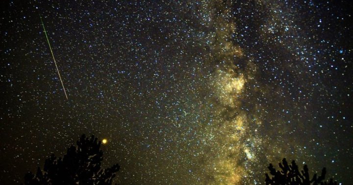 Meteor shower alert: How to watch the 2020 Perseids at their peak - National