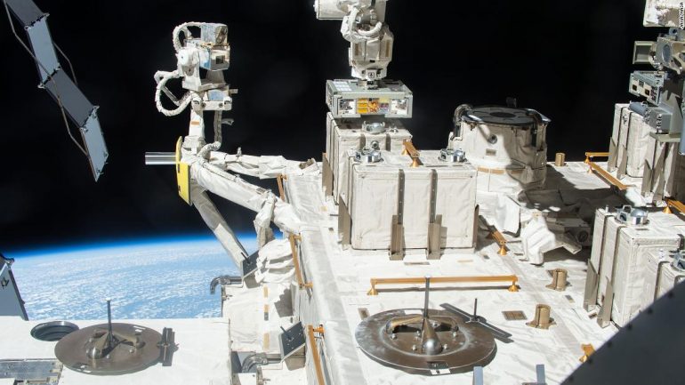 Bacteria from Earth can survive in space, study says