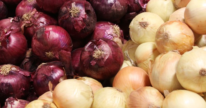 Onion recall expands across Canada; 17 hospitalizations linked to salmonella - National