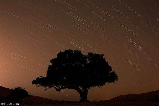 A long exposure shows stars behind a tree during the annual Perseid meteor shower near the town of Mitzpe Ramon, Israel