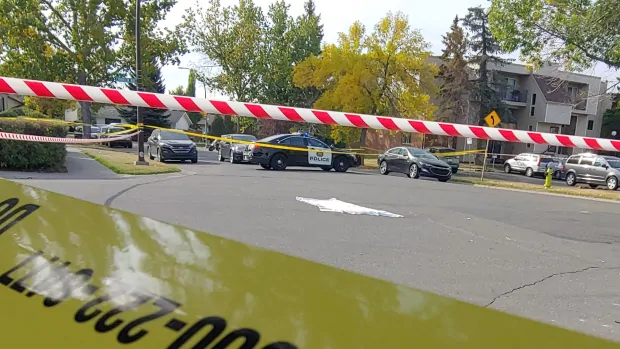 Stabbed man found lying on street is Calgary's 3rd suspicious death in 24 hours