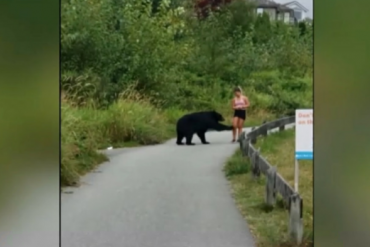 Woman who was swatted by bear in Metro Vancouver says she wasn't posing for selfie
