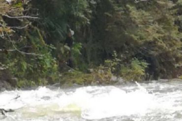 One man dead after Cleveland Dam opens during maintenance, flooding Capilano River