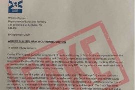 Forged letter warning about wolves on the loose part of Canadian Forces propaganda campaign that went awry