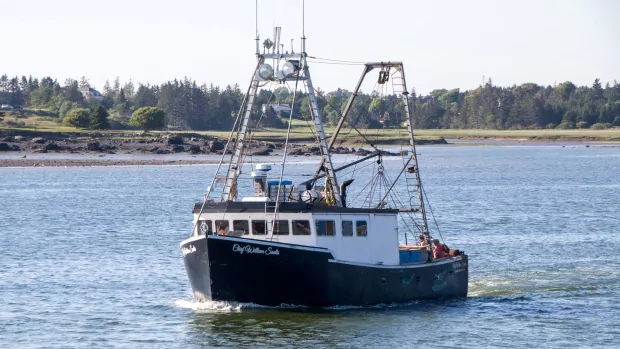 Search continues for 5 fishermen in Bay of Fundy after 1 found dead