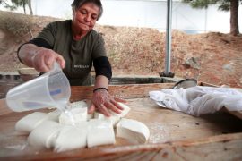 Halloumi Cheese: Cyprus blocks Sita trade deal between EU and Canada