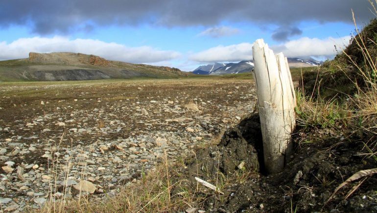 Huge remains from Siberia: Researchers found traces of DNA that are millions of years old