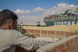 130,000 sheep trapped in Suez Canal