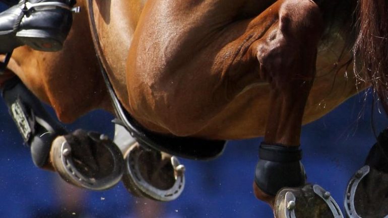 Equestrian sport - Number of dead horses after herpes infection - Sports