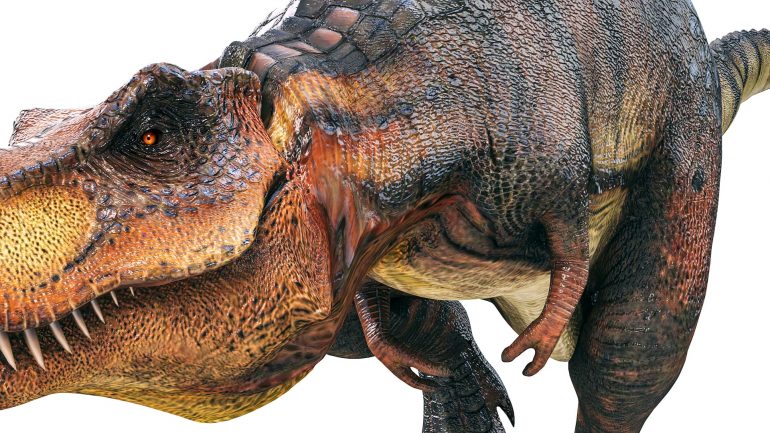 Teenage dinosaurs kept biodiversity low