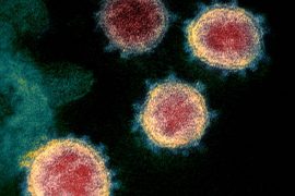 Similar to the virus caused by the Spanish flu, the coronavirus and its variants will also be friendly to humans
