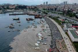 Istanbul: slimy mass contaminates the Sea of ​​Marmara in Turkey