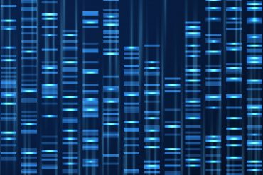 Genetics: the human genome will soon be complete