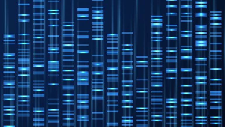 Genetics: the human genome will soon be complete