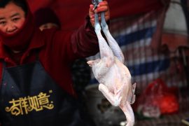 First worldwide case in China: human H10N3 infected with bird flu