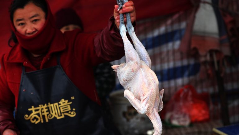 First worldwide case in China: human H10N3 infected with bird flu