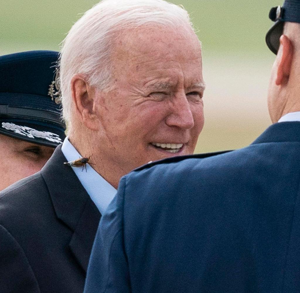 Shortly before leaving for Britain, President Joe Biden had to fight a cicada