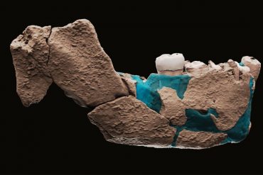 Israel: Bones of a previously unknown prehistoric man found