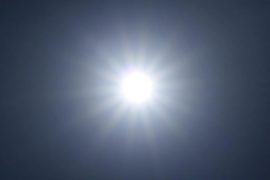 Severe heat in Canada: Dozens of people died at 50 degree temperature  free Press