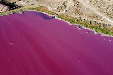Argentina: Chemicals Color Corfo Lagoon Pink