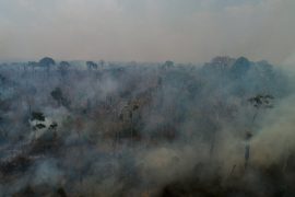 Brazil's "green lung": massive wildfires are raging in the Amazon