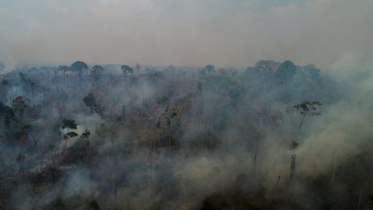 Brazil's "green lung": massive wildfires are raging in the Amazon