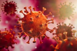Viruses do not live permanently in infected body cells - Treatment Practices
