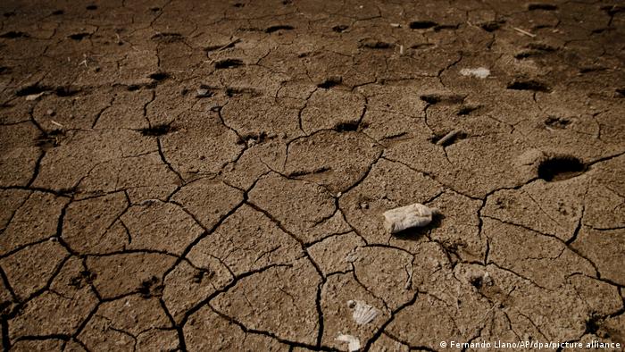 Earth torn by drought in Mexico