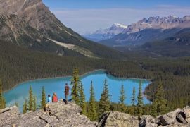 Travel to Canada again » News