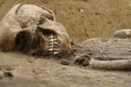 Archaeologists hope for new knowledge: Exciting skeletons found from ancient Vesuvius eruption in southern Italy