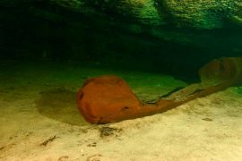 Cave in Mexico: 1000-year-old Maya canoe discovered