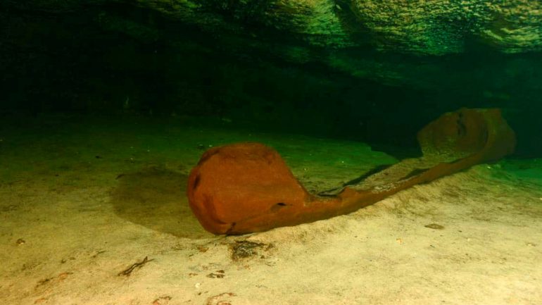 Cave in Mexico: 1000-year-old Maya canoe discovered