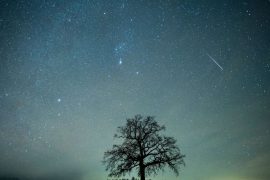 Shooting stars rain in Germany: this is how you can marvel at the Draconids today