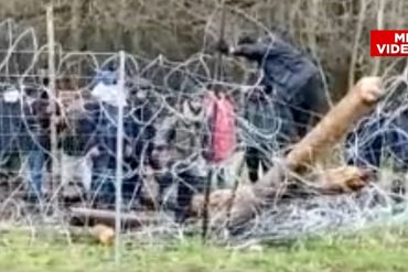 With axes and stones: migrants storm the border with Poland - foreign news