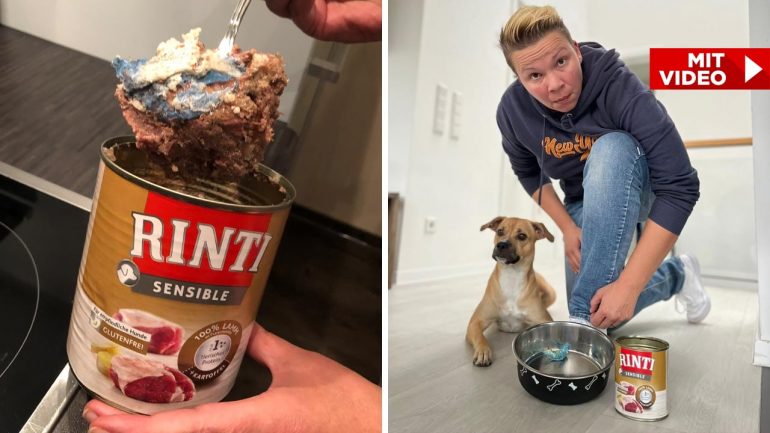 Big Pet Summit: Help!  There was plastic in our dog's food!
