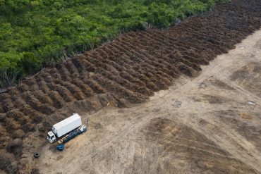 Brazil breaks promise: Deforestation continues