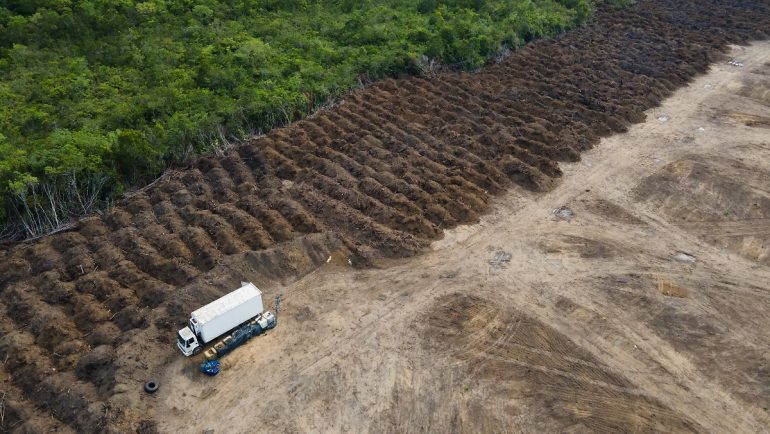 Brazil breaks promise: Deforestation continues