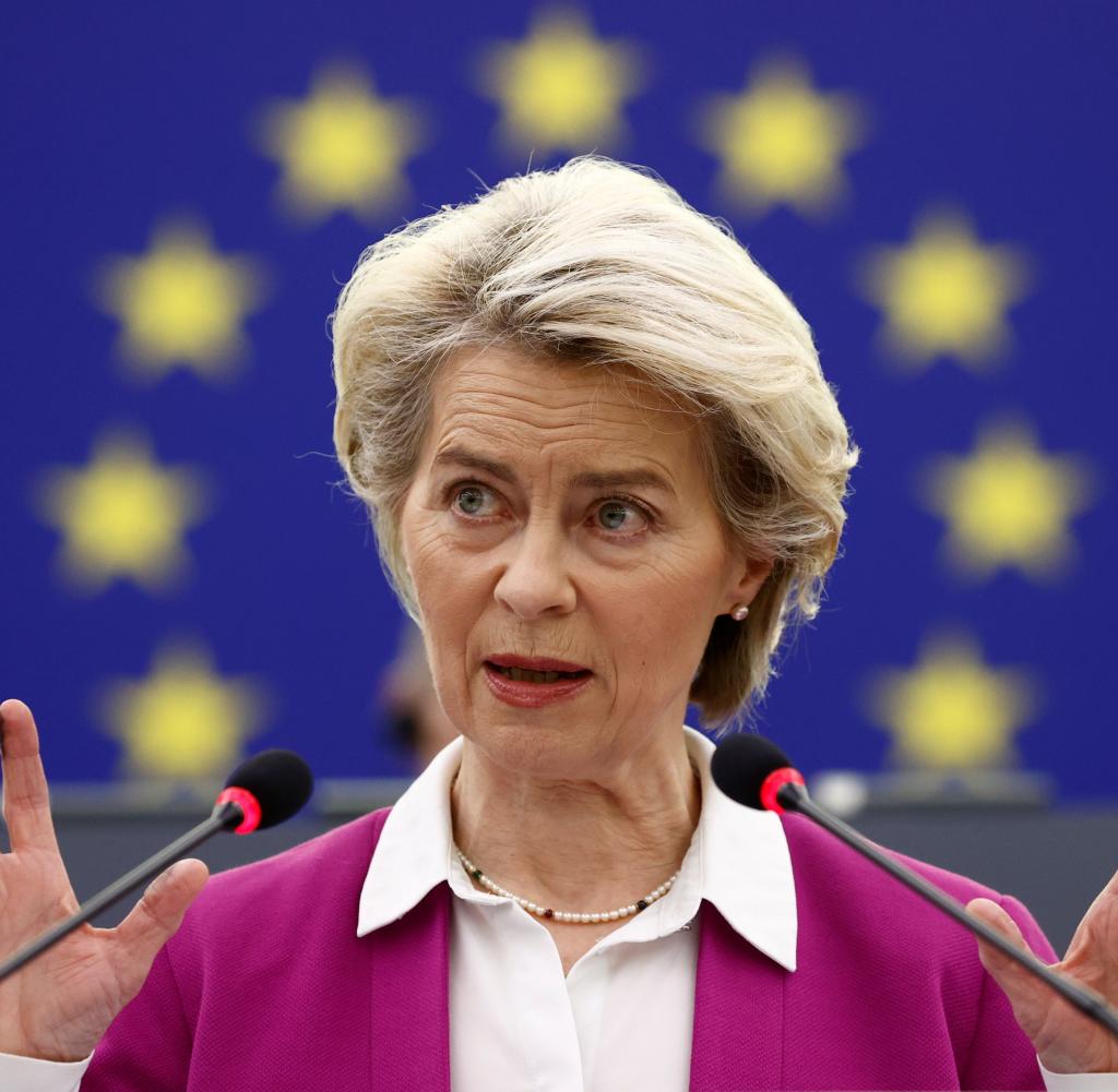 EU Commission President Ursula von der Leyen at the European Parliament in Strasbourg on Tuesday