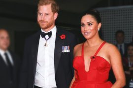 Prince Harry and Meghan Markle: In and Out of the Wood Class!  Observer Unpack