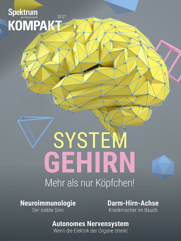 Spectrum Compact: System Brain - More Than Just Brain!