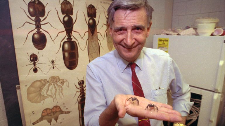Renowned American biologist Edward Osborne Wilson has died