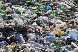 42 Million Tonnes: This Country Is The Biggest Plastic Waste Sinner - Advisor