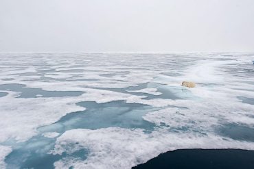 Dramatic state of the Arctic: Global warming will continue to increase in 2021
