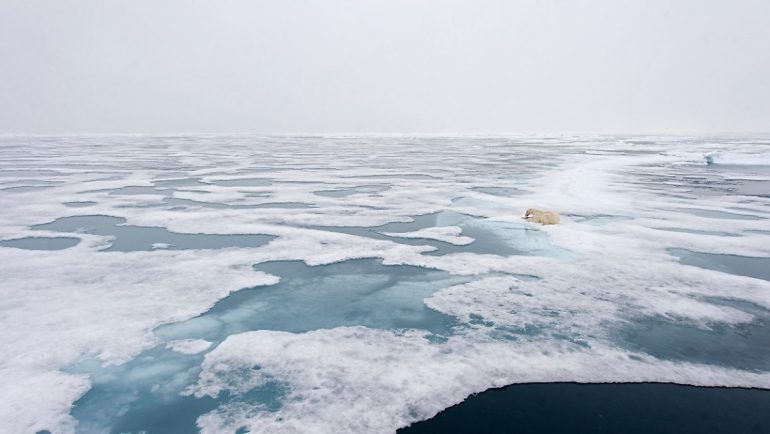 Dramatic state of the Arctic: Global warming will continue to increase in 2021