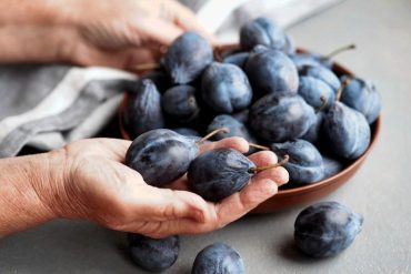 How consuming plums as part of a diet for osteoporosis in old age may protect women from bone loss