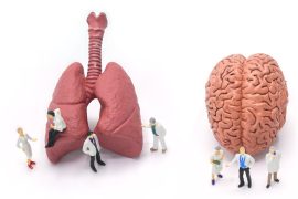 The brain is affected by the flora of the lungs - treatment exercises