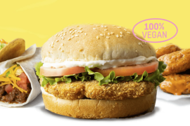 Preposterous Foods Odd Burger Banner Webseite
